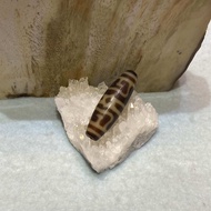 【水晶CRYSTAL】【老天珠 OLD DZI】【高品质】莲师法帽天珠Master Dharma Hat Motif DZI