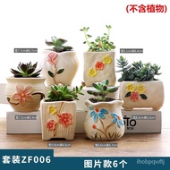 YQ Qishangyi Korean Style Succulent Flower Pot Ceramic Cultivation Plant Large Large Diameter Succulent Stoneware Breath