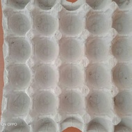 Duck egg carton Tray, salted egg/