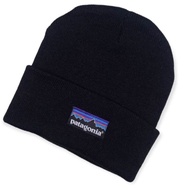 Patagonia Beanie Hat