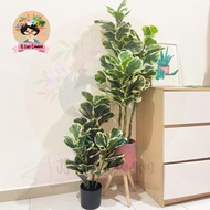Variegated Fiddle Fig Artificial Plant Premium Quality 🔥Ready Stock🔥Pokok Fiddle Fig Hiasan House Of