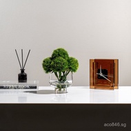 Green Plant Hotel Art Beizi Vase Restaurant Modern Ornament Desktop Floral Art Club Meeting Area Fre