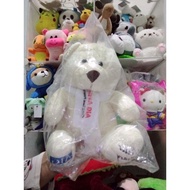 Teddy bears seal doll. AIG Asian