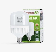 Rạng Đông Bóng đèn 20W ánh sáng trắng