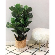 (READY STOCK) Artificial Fiddle Fig 90cm