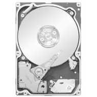 Seagate Constellation.2 1 TB Internal Hard Drive ST91000642SS