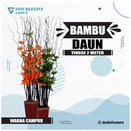 15 BATANG KERAJINAN BAMBU ULIR ANYELIR BUNGA