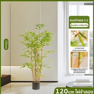 ต้นไผ่ทองปลอม Artificial Bamboo Trees ไม้ประดิษฐ์ ไม้มงคล Simulated Bamboo Plants ของตกแต่งบ้าน Arti