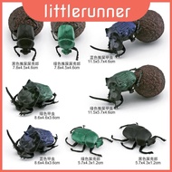 Intricate Pvc Insect Model Collection With 8 Stunning Dung Beetle And Beetle Figurines For Home