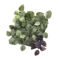 UNGU HIASAN DINDING Fejka Artificial Wall Hanging Plant Decoration, In/Outdoor, Purple