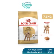 Royal Canin Poodle Adult Dog Food - Dry Dog Food