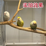 Bird cage, wooden perch, bird stand, natural wood perch, branch stand, toy for small birds, solid wo