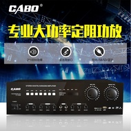 Karaoke Household Power Amplifier Conference Room 200W/300W/400W/600W High Power Constant Resistance