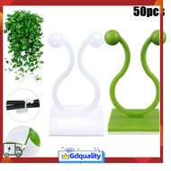 [JDZH] Invisible Plant Climbing Clips Wall Vines Fixture Wall Sticky Hook