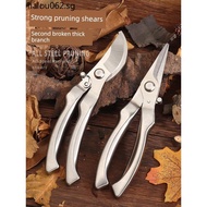 Pruning Shears Branch Shears Gardening Stainless Steel Fruit Tree Special Pruning Shears