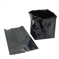 16 x 16 ( 100 pcs/200pcs/ 25 kg )Thick UV Protection Polybag Polibeg Nursery Plantation Bag polibag