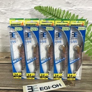 YAMASHITA Model EGI-OH LIVE DART3.0 (Red Shrimp)