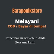 Benih buah melon fujisawa RZ F1 original repack isi 10 seed Terlaris.