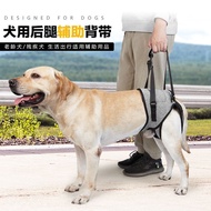 Pet Injured Dog Lower Leg Auxiliary Strap Age Injured Dog Recovery Strap Auxiliary Traction Institut