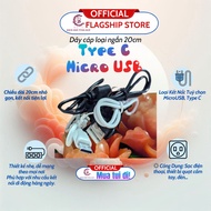 20cm Type C & Micro USB charging cord