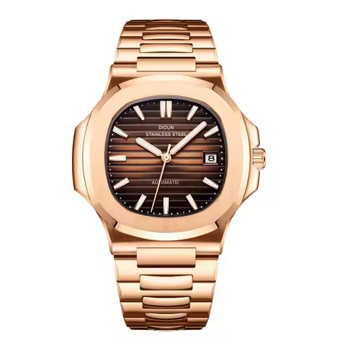 DIDUN Men's Watch Luxury Military Mechanical Automatic watch Stainless Steel Luminous Relogio Mascul