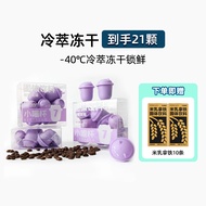 KINGCAT COFFEE小喵杯冷萃冻干咖啡粉100%阿拉比卡豆手冲即溶意式DIY拿铁 柑橘风味21杯
