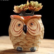 Chậu Trồng Sen Đá Mini Gốm Sứ Hình Chim Cú Cute Dùng Làm Đồ Trang Trí Bàn Học Decor Bàn Làm Việc