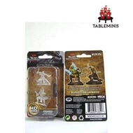 Dungeons & Dragons Nolzurs Marvelous Wave 5 Githzerai