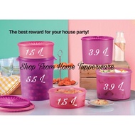 Deco Canister Loose (1.5 L / 3.9 L / 5.5 L) - Tupperware Brands