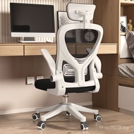 Desk Chair Backrest Sedentary Chair Household Wholesale Factory Ergonomic Office Chair Reinforced Ch