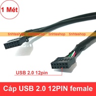 Cáp USB 2.0 12PIN female - Dây 12 pin USB 2.0 2 đầu cái 1 mét