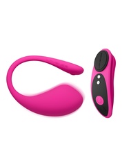 Lush 3 G Spot Vibrator+LOVENSE Ferri Wearable Magnetic Panty Vibrator Sex Toys Sexual Stimulation De