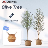 Artificial Olive Tree 6FT Faux Olive Trees with Basket Simulation Fake Potted Tree Artificial Tree f