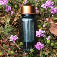 人氣泡茶壼 550ml熱冷泡茶咖啡耐熱 隨行杯壺 隨身瓶(含濾網)