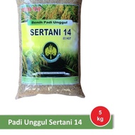 Sale 【Fresh】 Benih Padi Unggul Indrida Sertani 14 Bibit Padi Ggi4