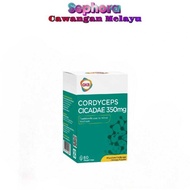 GKB Cordyceps Cicadae 350MG| Relieved tired eyes EXP:2028