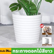 🔥ราคาต่ำที่สุดในแพลตฟอร์ม🔥ต้นไม้มงคลปลอม ต้นไม้ปลอม ฟรีกระถางดอกไม้ต้นไม้+หินตกแต่ง 90CM/18ใบ กระถาง