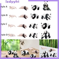 [JoyDIY] Simulation Life Cycle Cycle Animal Figures Toy 4 Stages of Panda Animals Cognitive