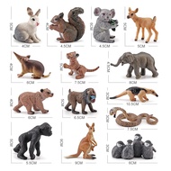 、‘、。； New Wild Animal Model Australian Kangaroo Koala Rait Penguin Cute Figurine Simulation PVC Action Figures Kids Cognitive Toys