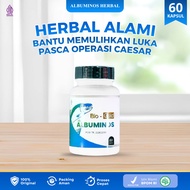 ALBUMINOS Snakehead Fish Capsules, Kutuk Extract 500mg to Accelerate Dry Post-Caesarean Wounds, BPOM