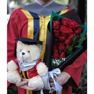 Boneka Wisuda UPH College Unsitas Pelita Harapan UNPAD Unsitas