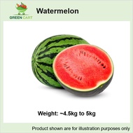 [Greencartsg] Fresh Fruits – Watermelon Red