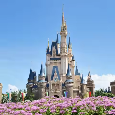 [Tokyo Disneyland - Tokyo Disney Resort: 1-Day Park Hopper T
