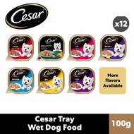 {Bundle Of 24} Cesar Dog Wet Food 100g