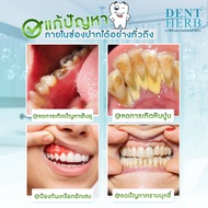 ยาสีฟันเดนท์เฮิร์บ DENT HERB Toothpaste [ 3 หลอด ] (ลดปากเหม็น ลดเสียวฟัน ลดคราบชา กาแฟ เลือดออกตามไ