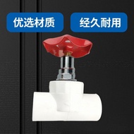P PPR25 Check Valve Silver White Lift Valve 4 Points 20 6 Points 83 3 cm 32 Water Pipe Valve Accesso