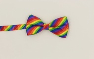 Fashionable and casual bow tie with rainbow stripes