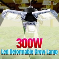 100W 200W 300W Grow ไฟ LED E27ต้นกล้าพืชโคมไฟ Led Full Spectrum Sunlike หลอดไฟ Warm White Growing Grow เต็นท์กล่อง