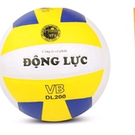 Winter volleyball dl200