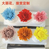 Preserved Flower Dahlia Dahlia Wedding Flower Wall Decoration Handmade DIY Accessories Glass Cover F